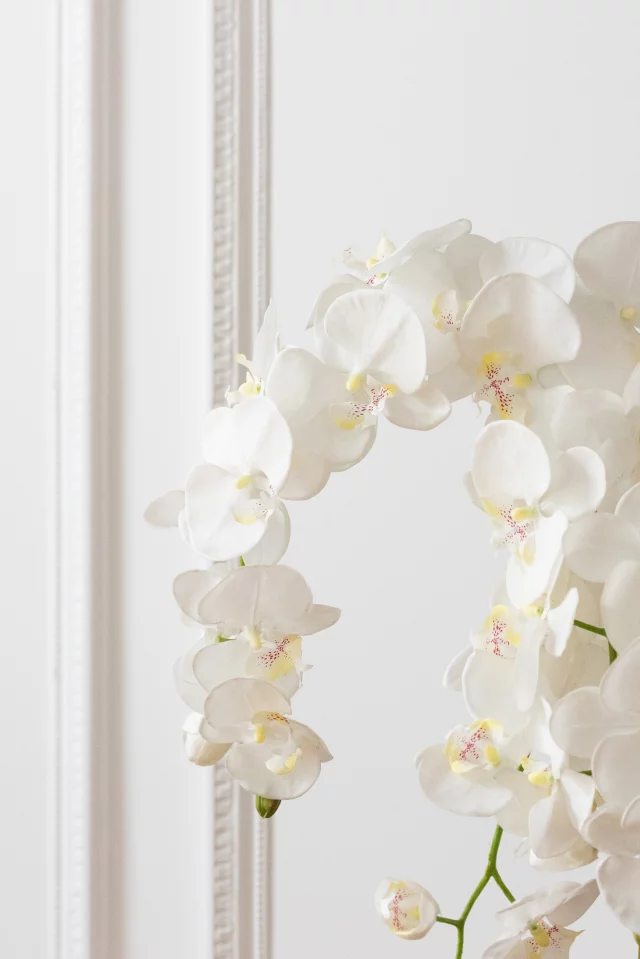 Orchidee En Terre Plastique Blanc/Vert Extra Large