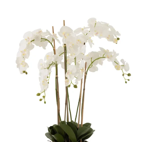 Orchidee En Terre Plastique Blanc/Vert Extra Large – Image 1